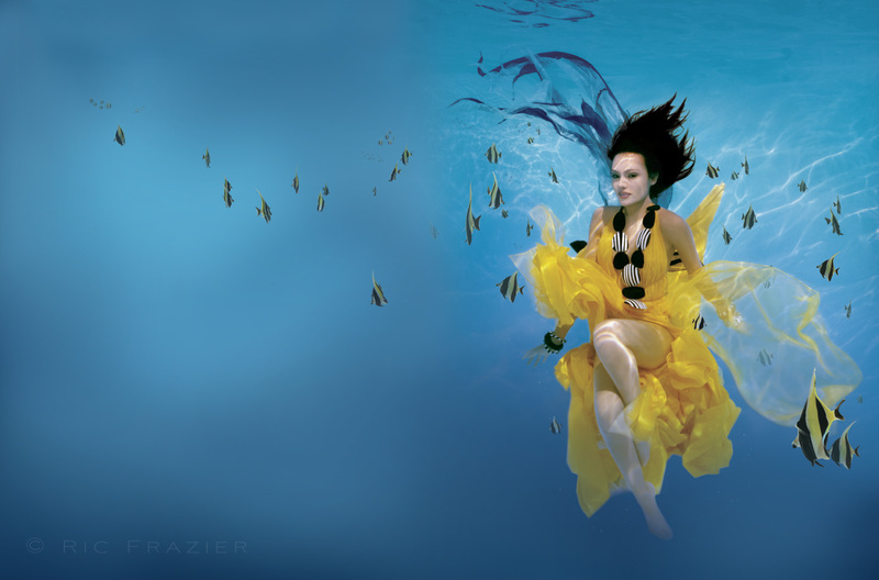 underwater photography