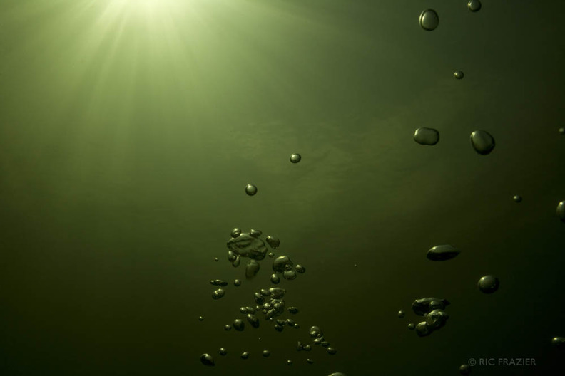 underwater photography bubbles